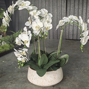 Fleur de cymbidium au toucher réel en <span class=keywords><strong>fausse</strong></span> soie blanche en gros pour la décoration de l'espace du festival à la maison - Product Image 1