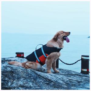 เสื้อชูชีพสุนัขกันน้ำแบบพกพาสะท้อนแสงสำหรับสุนัขเสื้อชูชีพสำหรับสุนัขว่ายน้ำปลอดภัย - Product Image 2