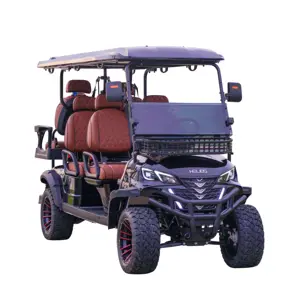 Helios brand customized 6 seater 7.5kw motor 72V lithium battery electric buggy