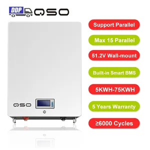 Power Wall Lithium-Ionen-Batterien Lfp 51,2 V 100Ah 200Ah 300Ah 5kW 10kWh 20kWh 48V Lifepo4-Batteriepack für PV/Solaranlagen