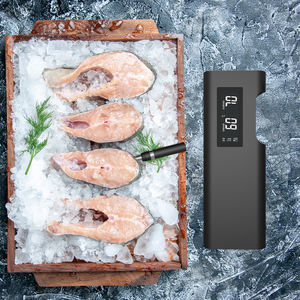 Termômetro Digital Bluetooth Sem Fio Lonnmeter para Churrasco com Sonda de Construção Metálica IP68 à Prova d'Água para Temperatura de Carne - Product Image 3