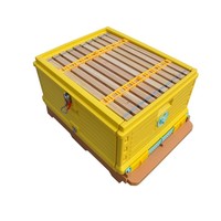 Caja de Abejas de Plástico, Producción en Masa de Fábrica, Fabricación China