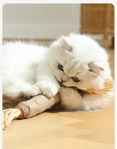 공장 직판 도매 천연 마타타비 닙스틱 실버바인 고양이 씹는 장난감 두껍고 튼튼한 애완동물 치아 세척 스틱 - Product Image 4