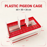 YZ Marque Pigeon Cage En Plastique Cage Pigeon Panier 60x30x26cm