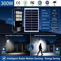 Lampadaire LED solaire industriel 150W à panneau séparé avec panneau réglable pour l'infrastructure de l'Asie du Sud-Est