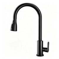 Keran Dapur Modern Matte Black Plastik, Model Deck Mounted, Tuas Tunggal, Air Panas Dingin, Semprotan Tarik, Mixer Tap