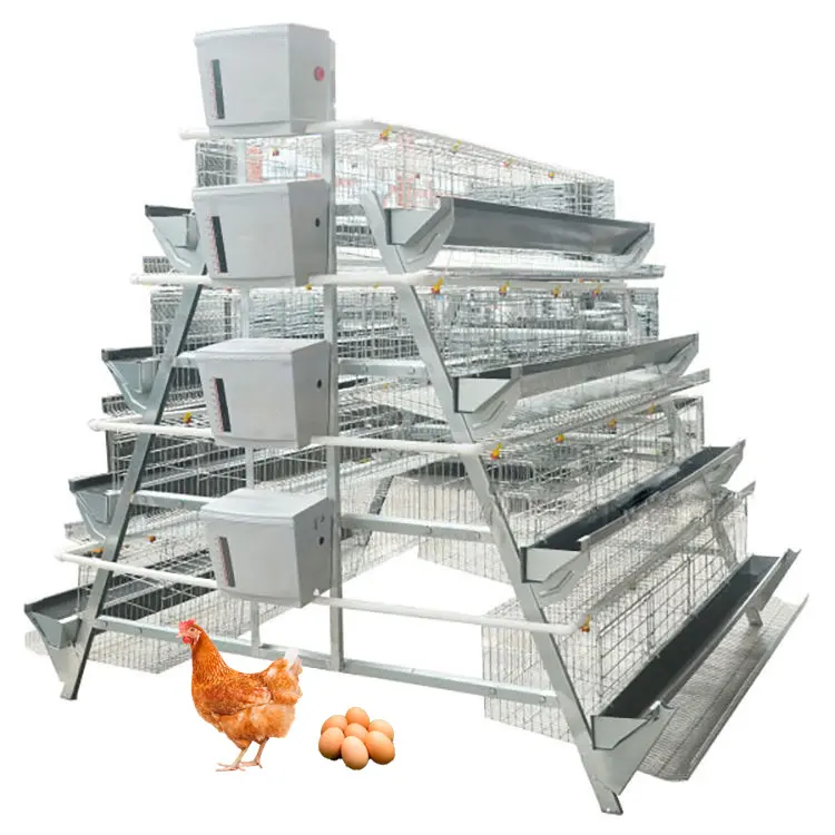 Grand équipement d'élevage de volailles et d'animaux de ferme Cage à batterie de type A poulailler cages à poulets de ponte ou de gril