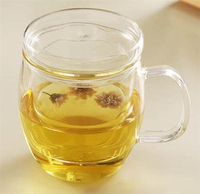 Ensemble de tasses à thé en verre borosilicate de 350 ml et 450 ml, faites à la main, résistantes à la chaleur, pour la maison et le bureau, avec infuseur et poignée