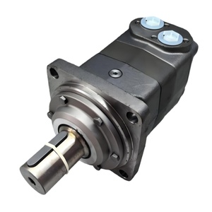 Moteur à piston hydraulique OMV315 151B3100 et pompe - Product Image 2