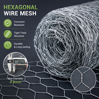 Grillage hexagonal galvanisé en gros, plusieurs tailles, grillage à poules pour clôture de sécurité de ferme, jardin, rouleau de filet