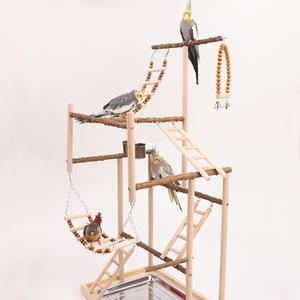Büyük zanthoksilum ahşap papağan oyuncak dekompresyon salıncak halka tırmanma merdiven Drowty standı süspansiyon köprü malzemeleri kuşlar - Product Image 4