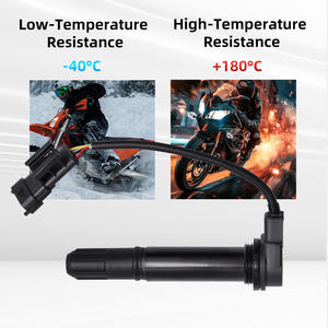 Bobina de Encendido de Alto Voltaje para Motocicleta Benelli BJ600GS TNT899 <span class=keywords><strong>CAFERACER</strong></span> TNT1130 <span class=keywords><strong>CAFERACER</strong></span> R500033012000 - Product Image 6