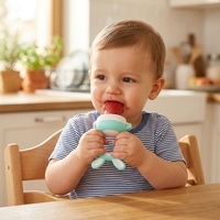 Gratis sample BPA-vrije babyvoedingsfruitvoeder speen voedselveilige siliconen voeder voor kinderen babyvoedingsproducten