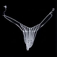 Cadena de Joyería Corporal de Moda para Mujeres y Niñas, con Cristales de Corazón Sexys, para Bikini con Aros y Tanga, Joyería de Tela para Club Nocturno