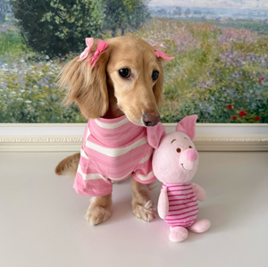 가볍고 편안하며 신축성 있는 스프링 애완동물 드레스 의류 고급 명품 애완동물 디자이너 의류 - Product Image 2