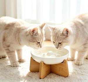 Natural Bamboo Stand Elevated <b>Cat</b> Bowl Ceramic Slow <b>Feeder</b> Luxury Pet Food Water <b>Feeder</b> Dish - Product Image 1