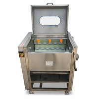 Machine à éplucher électrique automatique à tambour brosse pour pommes de terre, gingembre, homard et concombre, 280 kg/h