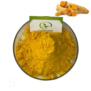 Haccp New product Food Grade Free sample curcumin extract powder turmeric root extract