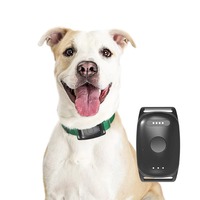 Collier GPS GSM 4G pour chien de chasse - Traceur haute précision, alarme géofence, application de suivi d'activité