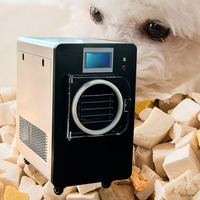 Petite machine de lyophilisation sous vide pour les entreprises à domicile, les friandises pour animaux, les fruits, les bonbons, lyophilisateur professionnel commercial