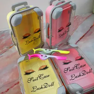 Mink Lashes Cases Mini Suitcase 3D Mink Lashes Packaging Box Pvc Fashion Handbag Suitcase Lashbox Cute Eyelash Packaging Case