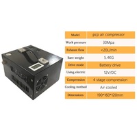Compresseur d'air PCP 30mpa Transformateur externe 12v Pompe de charge 4500psi Compresseur d'air PCP 110/220V Pompe PCP
