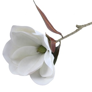 3D in lattice reale Touch fiori artificiali <span class=keywords><strong>Magnolia</strong></span> fiori artificiali per la decorazione della casa di nozze - Product Image 2