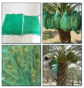 70*90Cm 80*100Cm Mono Bag Bescherm Datum Palm Mesh Netto Zak