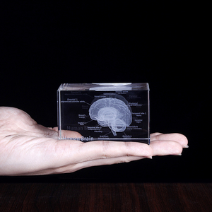 Cristallo originale Laser 3D cervello esemplari cubo di vetro interpretazione medica modello ospedale Souvenir regalo - Product Image 6