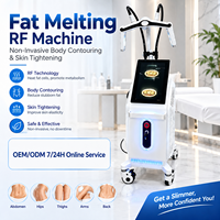 Machine de remodelage corporel non invasive OEM/ODM pour l'élimination des graisses et la réduction de la cellulite