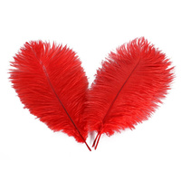 Rouge 2 pièces Polobag plumes d'autruche pour fête carnaval maison mariage pièce maîtresse noël Vase vacances décor bricolage artisanat Floral