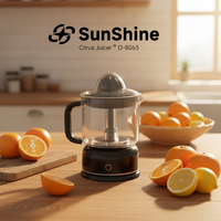Elektrische draagbare citruspers blender 1200ml capaciteit AC motor stille multifunctionele milieuvriendelijke slowjuicer smoothie
