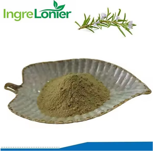 Bubuk ekstrak daun Rosemary kualitas makanan herbal alami grosir ekstrak Rosemary 10% 5%-90% bubuk asam <span class=keywords><strong>Carnosic</strong></span> dalam stok besar - Product Image 2