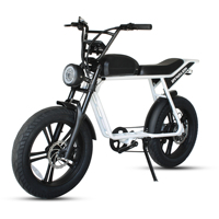 Ebike nouveau modèle de vélo électrique rétro 48V 750W e-bike avec moteur de moyeu arrière gros pneu Style rétro vélo électrique