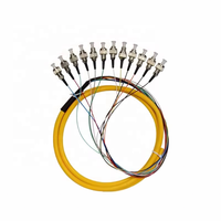 Ftth Solution Fiber Fantastic Fiber Optic Pigtail-12 Core Optical Ribbon Cable, Fc Upc, Sm Mm, Fiber Optic Patch Cord, 1M, 3M,