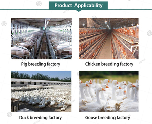 Vitamina ADECK en Polvo para Gallinas Ponedoras y Pollos de Engorde, Vitamina AD3E en Polvo para el Estrés, Transporte y Cambio de Temperatura - Product Image 2