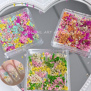 Los últimos productos de <span class=keywords><strong>uñas</strong></span> 3D de mini <span class=keywords><strong>flores</strong></span> <span class=keywords><strong>naturales</strong></span> reales, pegatinas de <span class=keywords><strong>flores</strong></span> secas, diseños de dijes de manicura <span class=keywords><strong>para</strong></span> accesorios de <span class=keywords><strong>uñas</strong></span> - Product Image 3