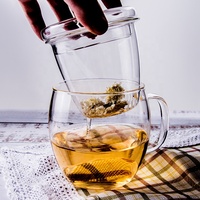 Tasse à thé en verre borosilicaté pour bureau à domicile 15oz/500ml avec poignée infuseur pour café et thé en vrac