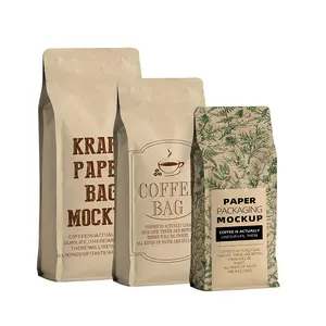 OEM Sterilization Laminated 250g 500g Carrier Food Grade Stand up Brown Kraft Paper Food Pouch Coffee Bag