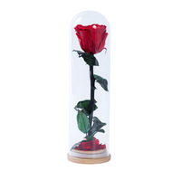 Rose éternelle préservée sous cloche en verre, ornements durables 3-5 ans, cadeau pour la Saint-Valentin, Tanabata, anniversaire