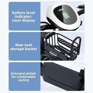 Bicicleta/Scooter Plegable para Estudiantes y Viajeros, Motor de 250W, Velocidad de 18km/h, Alcance de 15-25km, Capacidad de Carga de 100kg, Litio VD26 Plegable - Product Image 4