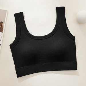 Kadın rahat dikişsiz yastıklı sütyen nefes anti-pozlama yelek seksi güzel arka telsiz tüp üst çok yönlü için - Product Image 6