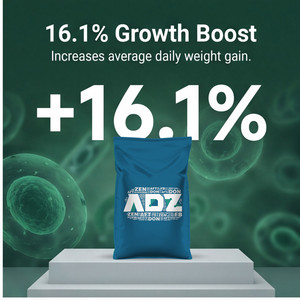 Additif alimentaire mixte, peptide à petite molécule, Bacillus subtilis, promoteur de croissance pour bovins et ovins - Product Image 2