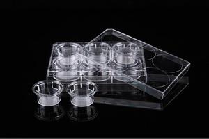 Insert Transwell Membran PET 1um untuk Plat Kultur Lab <span class=keywords><strong>6</strong></span>-well, Insert Kultur Sel - Product Image 4