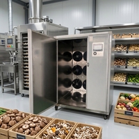 Energiezuinige warmtepomp fruitdroogmachine/dehydrator voor commercieel gebruik