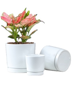 Macetas de Cerámica Blancas con Plato, Venta Directa de Fábrica, para Interiores/Exteriores, con Orificio de Drenaje, Ecológicas - Product Image 4