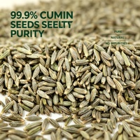 Graines de cumin entières séchées à forte saveur, directement de l'usine, pour barbecue, curry, cuisson, export en vrac