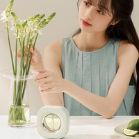 Diffuseur de parfum intelligent portable de luxe à brancher sur prise murale, mini diffuseur d'huiles essentielles sans eau pour la maison, vente en gros
