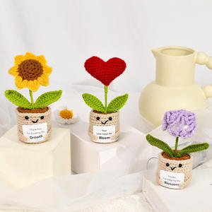 Mini Flor de Ganchillo Divertida y Positiva 2026, Regalo Emocional e Inspirador, Regalos de Agradecimiento para Mamá, Maestra, Hermana, Compañeras de Trabajo, Jefas - Product Image 2