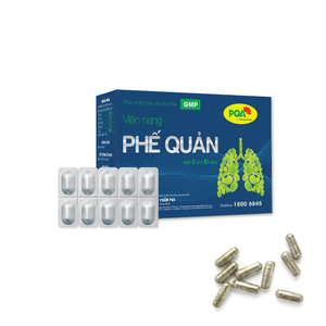 Cápsulas de Gelatina Dura a Base de Hierbas Bronquiales, Suplementos para la Salud Pulmonar, Apoyo Inmunológico, Proveedor de Vietnam, Mejor Precio - Product Image 1
